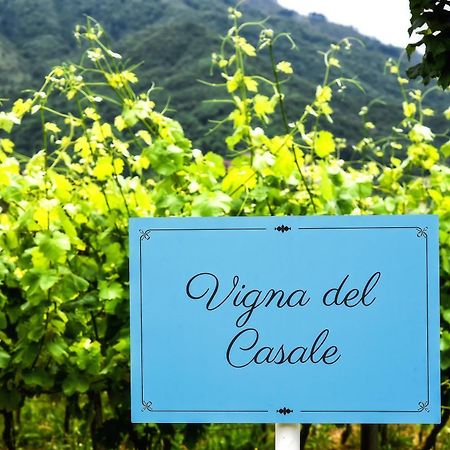 Agriturismo Guerritore Baronissi Eksteriør billede